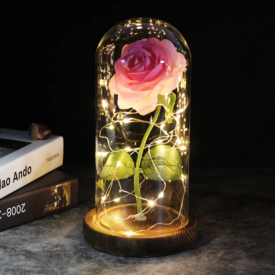 Ewiglicht Rose