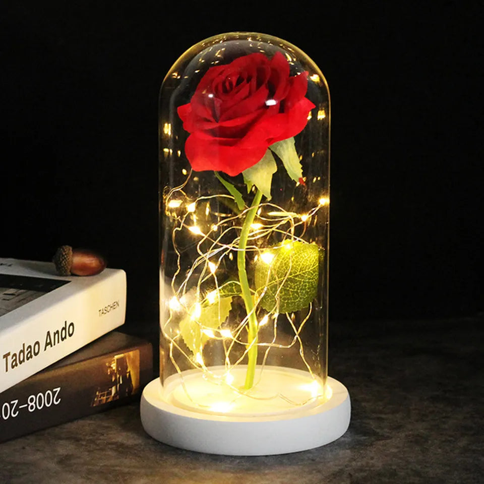 Ewiglicht Rose