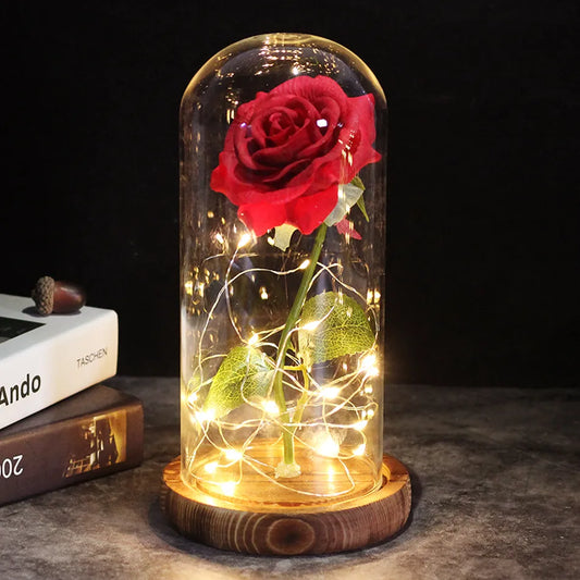 Ewiglicht Rose